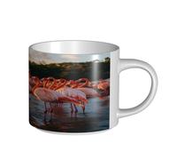 UYHhgqw Tazza in ceramica con fenicottero tropicale paradiso tropicale, per donne, tazza da caffè, grande capacità e manico, per ufficio e casa