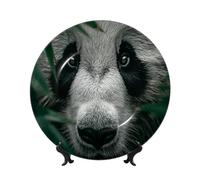 UYHhgqw The Confusion of Giant Pandas Piatti decorativi - Piatti in porcellana Bone China con espositore e gancio - perfetti per feste, tavolo e da appendere alla parete