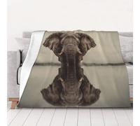 UYHhgqw The Elephant by the River Coperta in flanella da 320 g, morbida, calda e resistente per letto, divano e viaggio