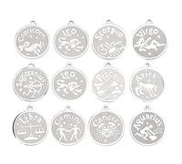 UYSTDMXKA Set di 12 ciondoli con segni zodiacali in acciaio inossidabile per collane, braccialetti e gioielli fai da te, include tutti i 12 charm dell’astrologia con finitura lucid