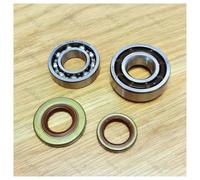 UYTGFO Adatto for parti di ricambio for motosega Stihl MS261 MS261C, set di paraolio e cuscinetti a sfera