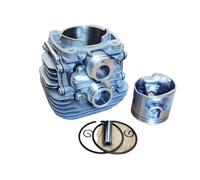 UYTGFO Adatto for STIHL TS410 TS420 Parti for sega da taglio TS420 Il set di ricostruzione include cilindro, albero motore, cuscinetti, guarnizioni e valvola della torcia.(Cylinder only)