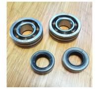 UYTGFO Adatto for Stihl TS410 TS420 Troncatrice Ricambi 95030030351 TS420 Set di cuscinetti e paraolio dell'albero motore