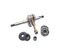 UYTGFO Adatto for ZENOAH G2500 More Type 25cc 2500 2600 26cc STIGA Ama Anova Potatore Sega Albero Motore Cuscinetto a Sfere Cuscinetto ad Aghi Kit Paraolio