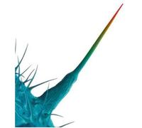 V/A - And I'll Scratch Yours