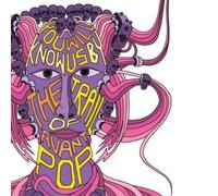 V/A - And They Will Know Us From The Trail Of Avant Pop