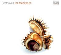 V/A - Beethoven For Meditation