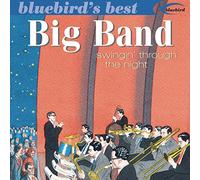 Various BIG BAND: SWINGIN' THROUGH THE NIGHT (CD)