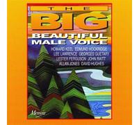 V/A - Big Beautiful Male Voice