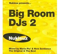 V/A - BIG ROOM DJ'S 2