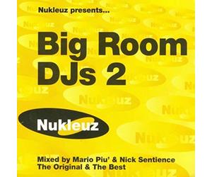 V/A - BIG ROOM DJ'S 2