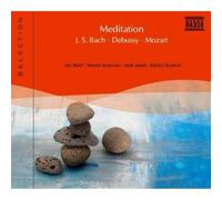 V/A - Classical Meditation