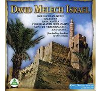 V/A - David King Of Israel