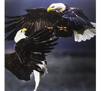 V/A - Death In Gothenburg