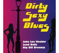 Dirty Sexy Blues - Various Artists (Audio cd)