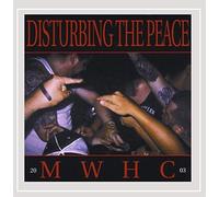 V/A - DISTURBING THE PEACE
