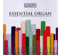 V/A - Essential Organ:Journey T