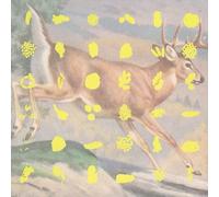 V/A - Fields & Streams (2 CD)