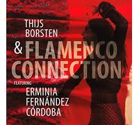 V/A - FLAMENCO CONNECTION