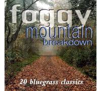 V/A - Foggy Mountain Breakdown