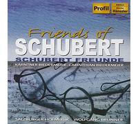 V/A - Friends Of Schubert
