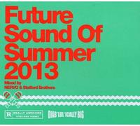 V/A - Future Sounds Of Summer 2013-Mixed By Nervo & St