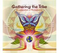 V/A - Gathering The Tribe (Interchill Records)