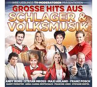 V/A - GROSSE HITS AUS..