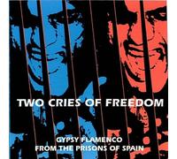 V/A - GYPSY FLAMENCO FROM THE P