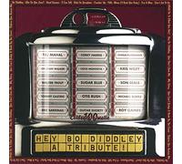 V/A - Hey Bo Diddley: Tribute