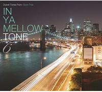 V/A - In Ya Mellow Tone 6 Goon Trax 10th Anniversary Edi
