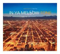 V.A. - IN YA MELLOW TONE 8(digi-pak)
