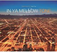V/A - In Ya Mellow Tone 8 Goon Trax 10th Anniversary Edi