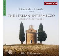 V/A - Italian Intermezzo: Music Without Words