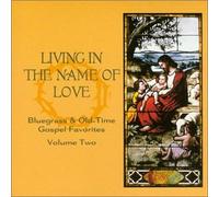 V/A - Living In The Name Of Love