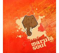 V/A - MARULA SOUL 2 -13TR-