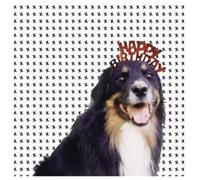 V/A - Mollie's Mix