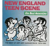 V/A - NEW ENGLAND TEEN SCENE