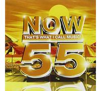 V/A - NOW 55