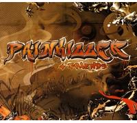 V/A - Painkiller & Friends