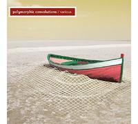 V:A - Polymorphic Convolutions