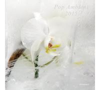 V.A. - Pop Ambient 2015