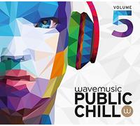 V/A - Public Chill 5