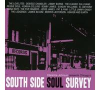 V/A - South Side Soul Survey