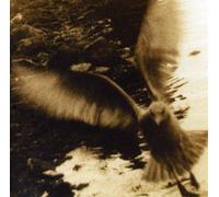 V/A - Take Me Home