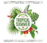 V/A - Tropical Summer Compilation