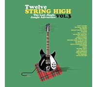 V/A - TWELVE STRING HIGH VOL. 3