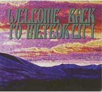 V/A - Welcome Back To Meteor City (2 CD)
