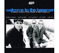 V/A - Welcome To The Basement (2 LP)