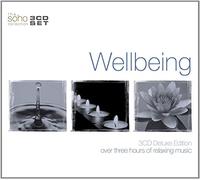 V/A - Wellbeing (3 CD)